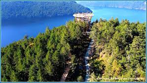 malahat mountain skywalk close to the lodge